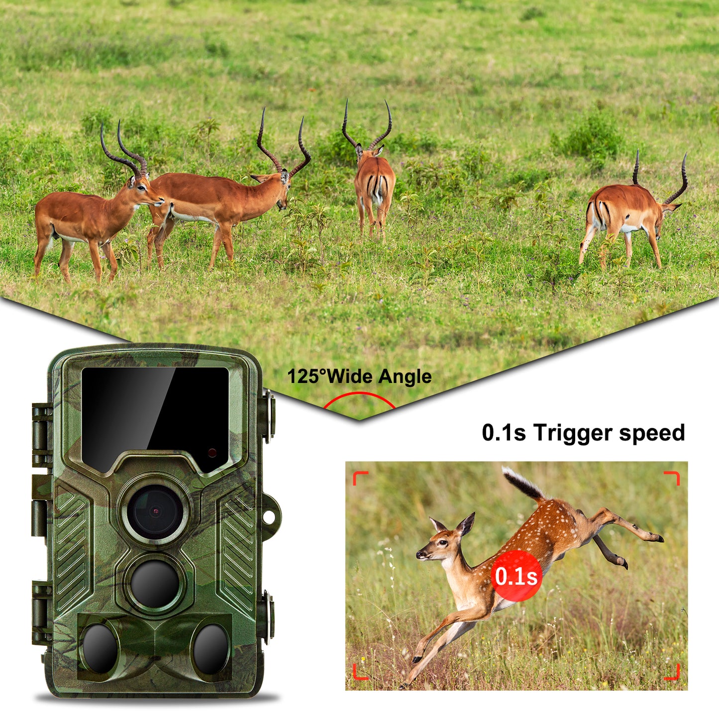 COOLIFE H881 WiFi Bluetooth Wildkamera 4K 32 MP Abzugentfernung Bis 25 m Wildkamera mit Bewegungsmelder Nachtsicht 49pcs 850nm IR LEDs Jagdkamera mit 32GB Speicherkarte