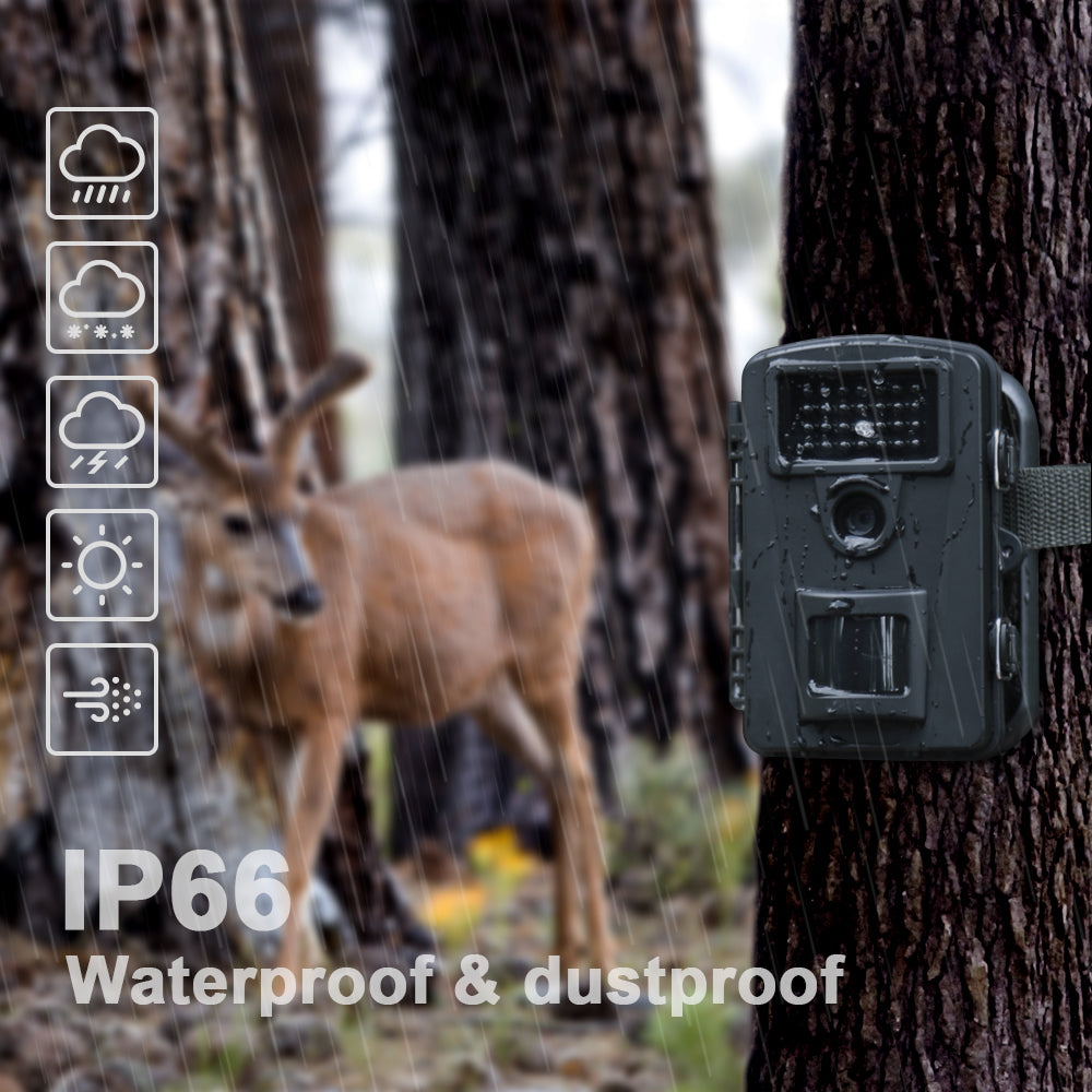 COOLIFE PH700A 16MP 1080P HD Wildkamera Fotofalle IP66 Wasserdicht Jagdkamera 940nm IR LEDs Nachtsicht Bewegungsmelder 0,2s Schnelle Trigger Geschwindigkeit Nachtsicht Wildkamera mit 32G Speicherkarte